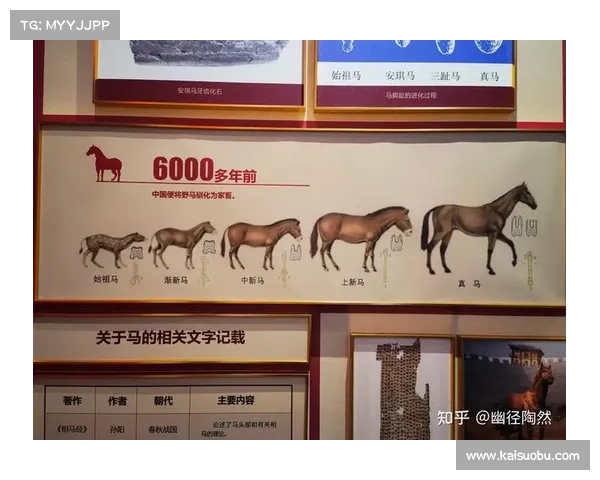 马的脚趾结构独特之处及其对奔跑速度与耐力的影响分析 马的脚趾结构独特之处及其对奔跑速度与耐力的影响分析